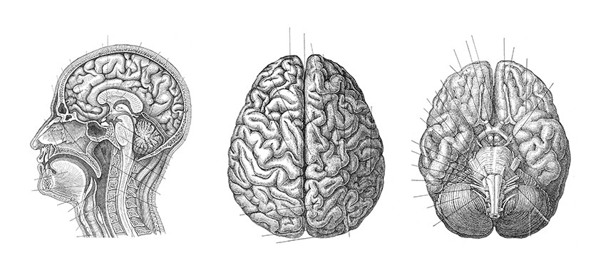 Illustrasjon: L Feddes / iStock