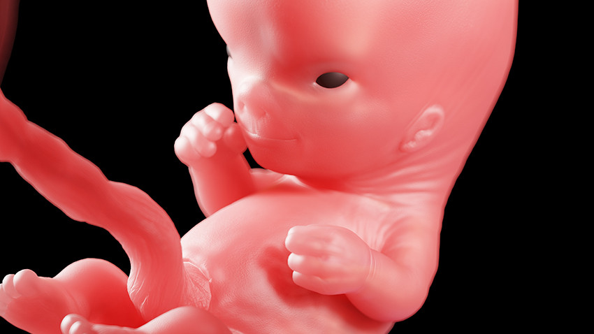 Foster i uke 10. Foto: Science Photo Library / NTB