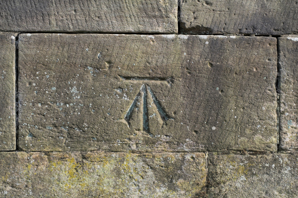 Foto: IdpStock / iStock