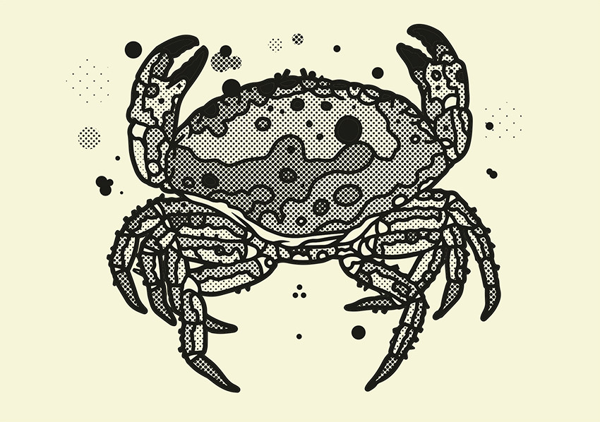 Illustration: B&oslash;rge Bredenbekk / byHands