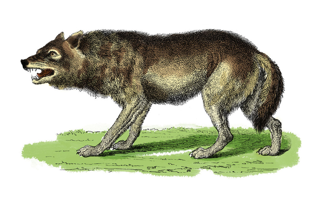 Illustrasjon: NSA Digital Archive / iStock