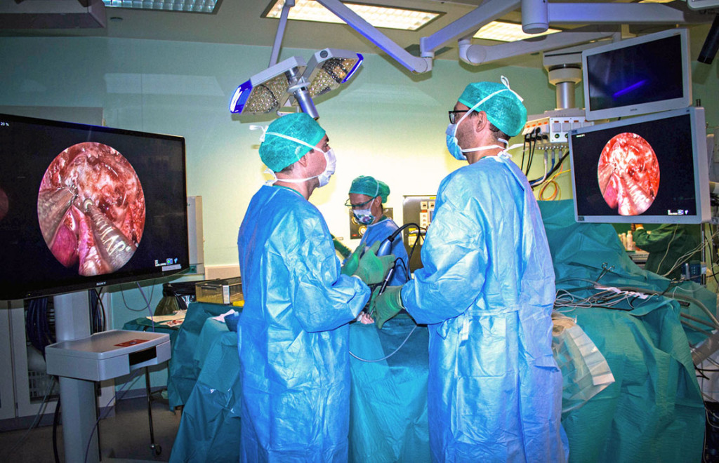 Figure 1 Overview image of the use of an endoscopic four-hands technique. The instruments are inserted via both nostrils&hellip;