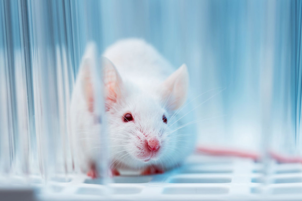 Illustrasjonsfoto: D-Keine/iStock