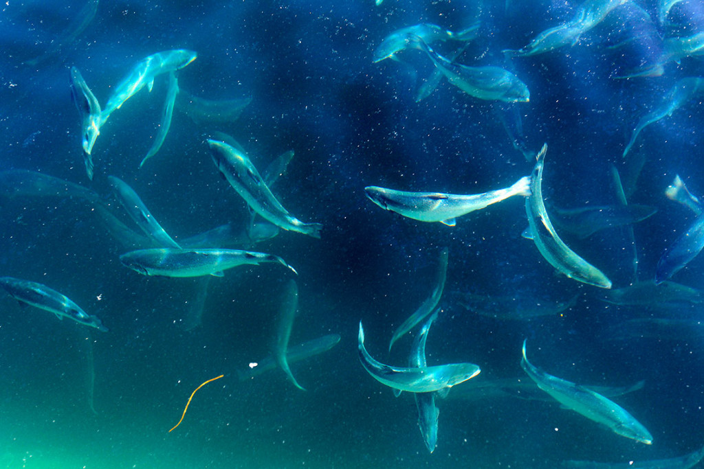 Foto: Gorm Kallestad / NTB